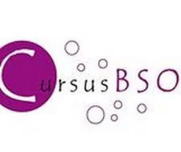 Cursus BSO